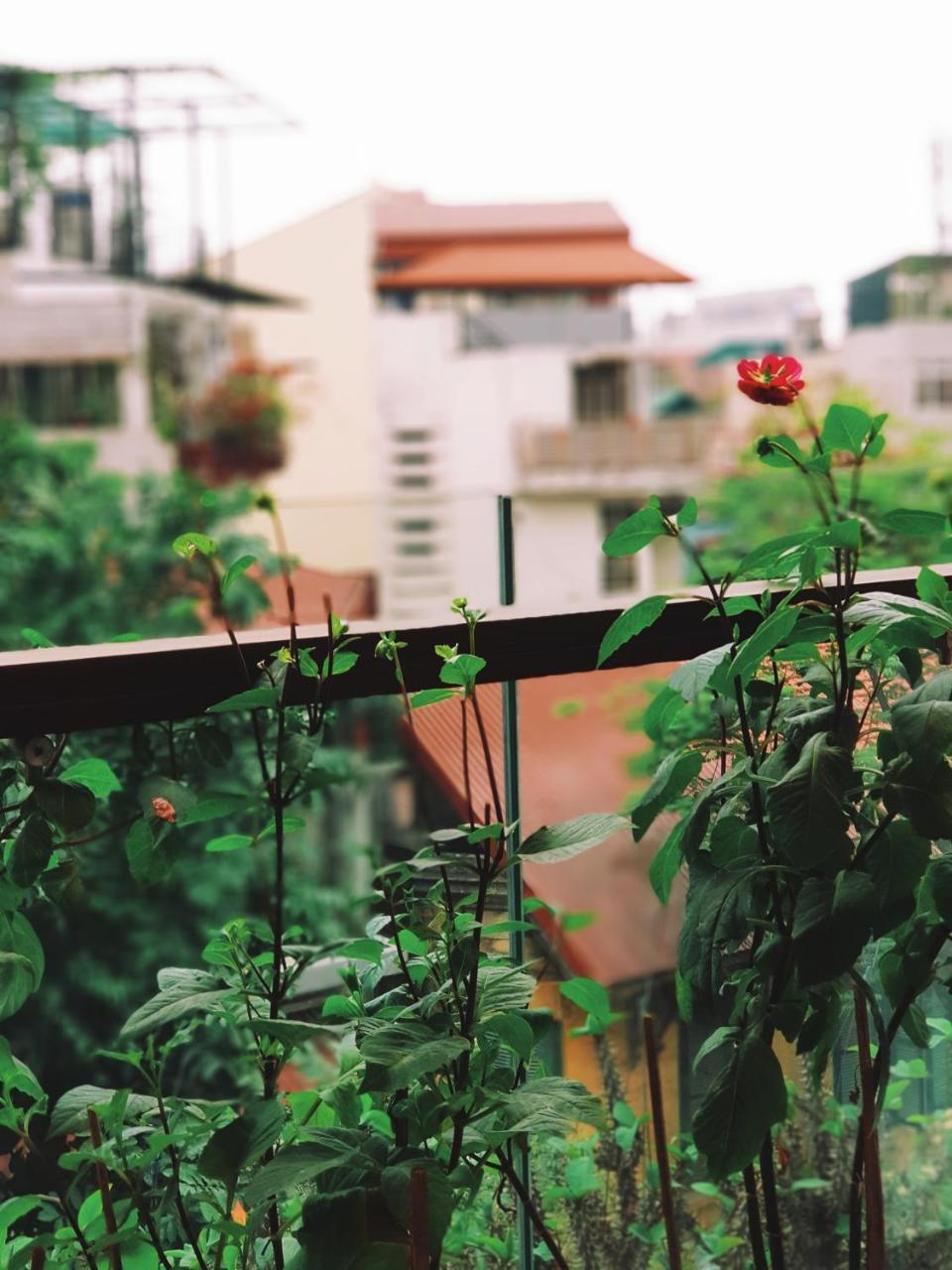 Ali House Daire Hanoi Dış mekan fotoğraf